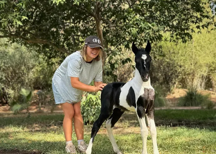 La Vie En Rose - Horses & Dogs House