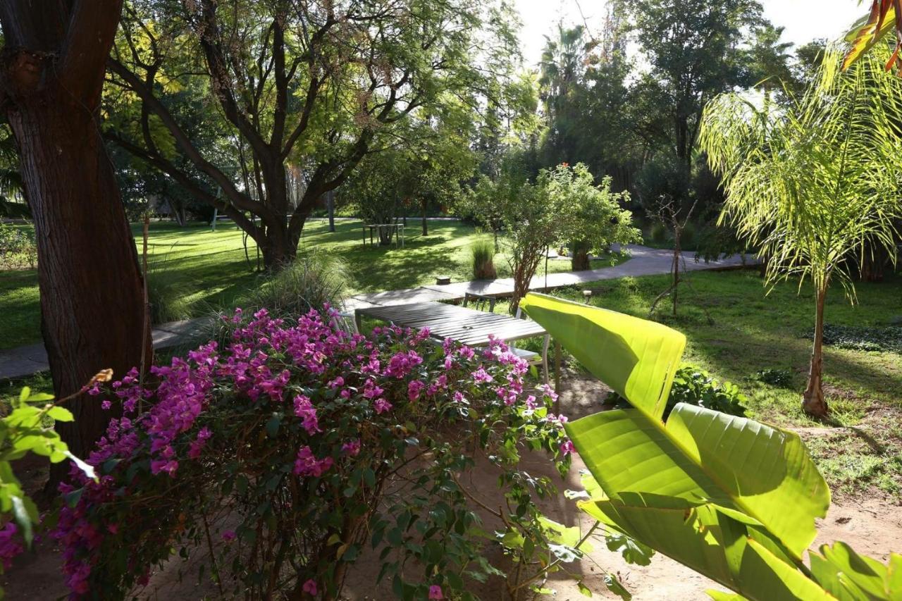 Bed & Breakfast La Vie En Rose - Horses & Dogs House