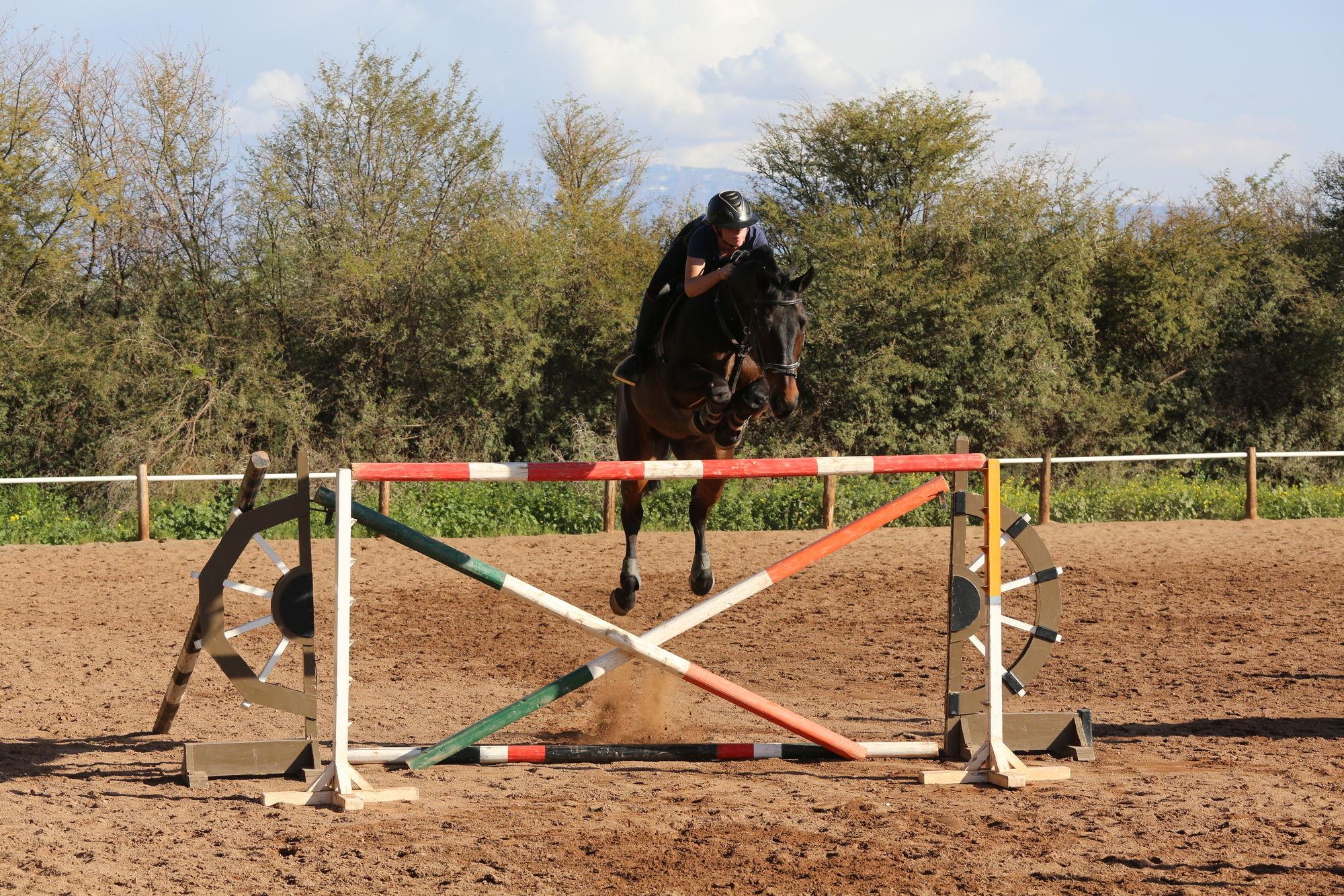 Bed & Breakfast La Vie En Rose - Horses & Dogs House