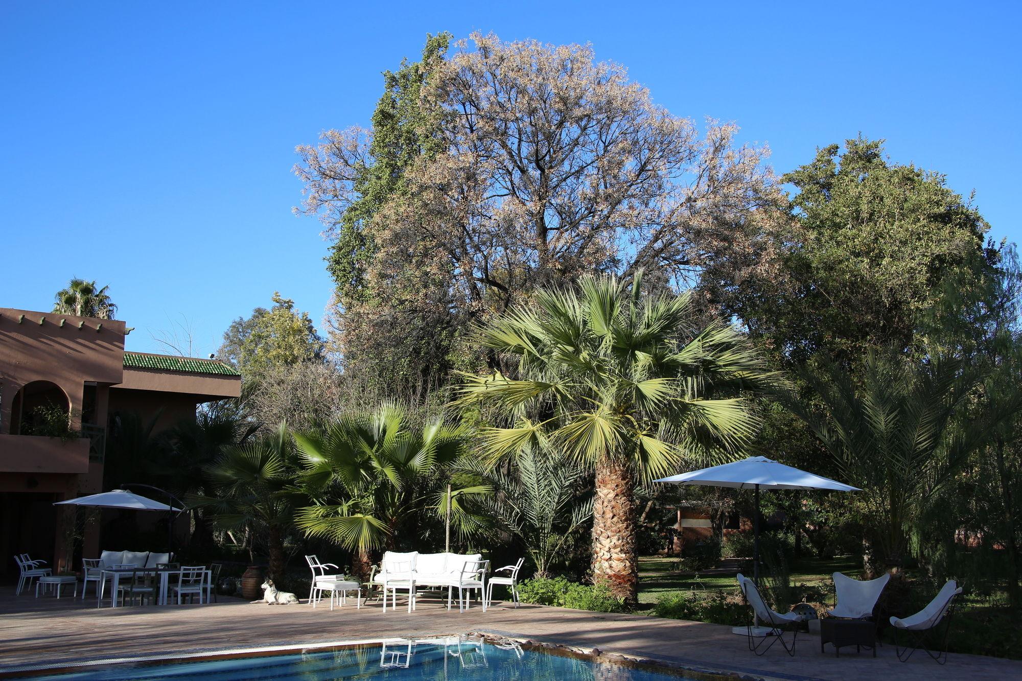 Bed & Breakfast La Vie En Rose - Horses & Dogs House