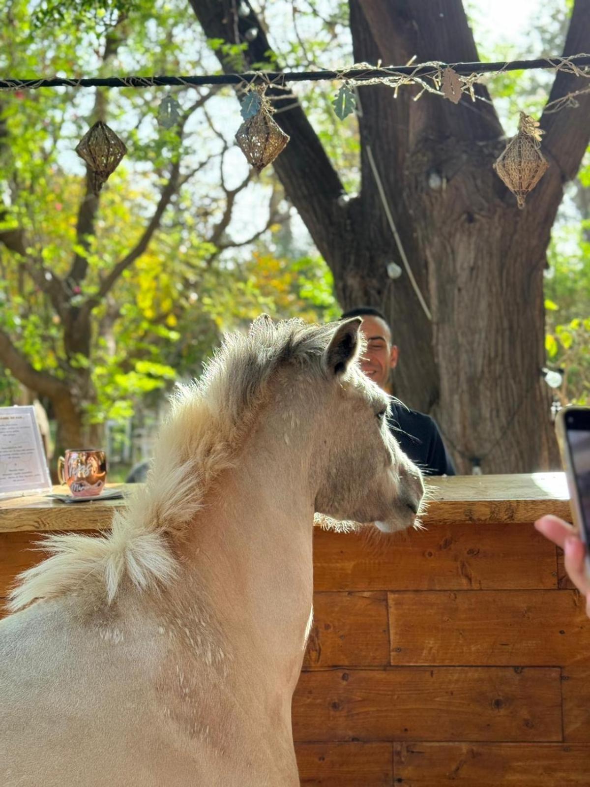 La Vie En Rose - Horses & Dogs House 3*